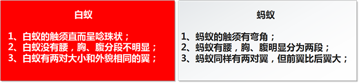 灭白蚁