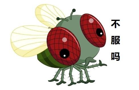 灭苍蝇用什么药效果最好_灭苍蝇的药水_灭苍蝇特效药