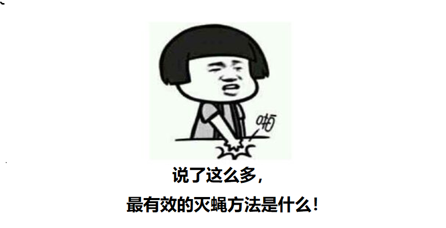 灭苍蝇的药水_灭苍蝇特效药_灭苍蝇用什么药效果最好