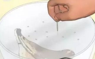 灭苍蝇特效药_灭苍蝇的药水_灭苍蝇用什么药效果最好