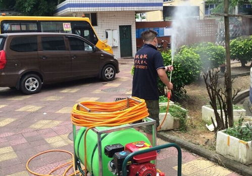 灭苍蝇的药水_灭苍蝇特效药_灭苍蝇用什么药效果最好