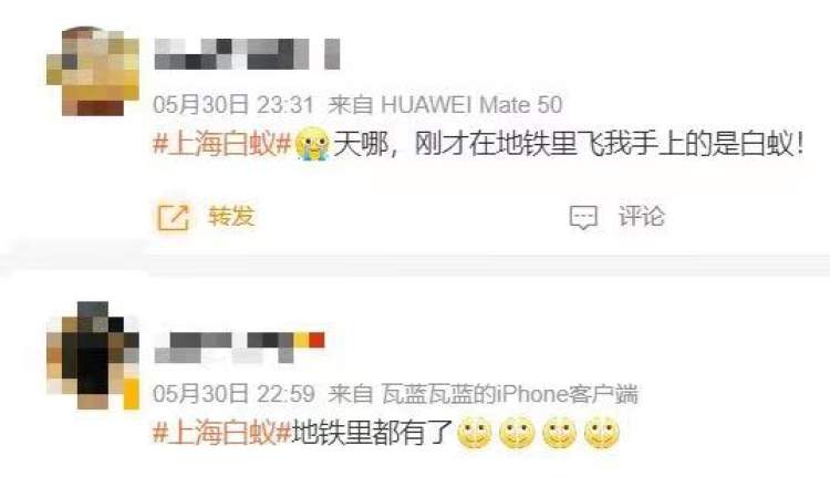 上门灭钱白蚁一般要多少钱_上门灭白蚁一般多少钱_上门灭钱白蚁一般多少钱