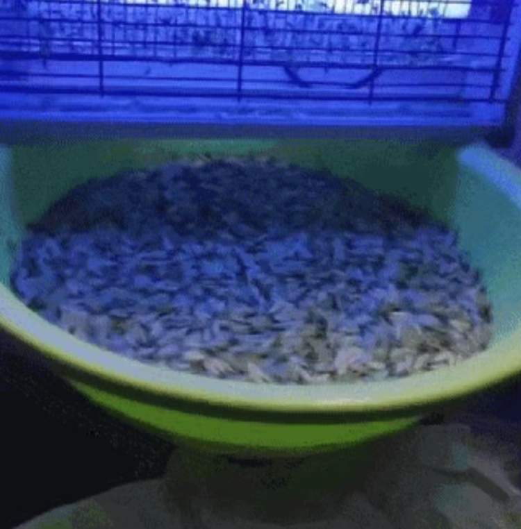 上门灭白蚁一般多少钱_上门灭钱白蚁一般要多少钱_上门灭钱白蚁一般多少钱