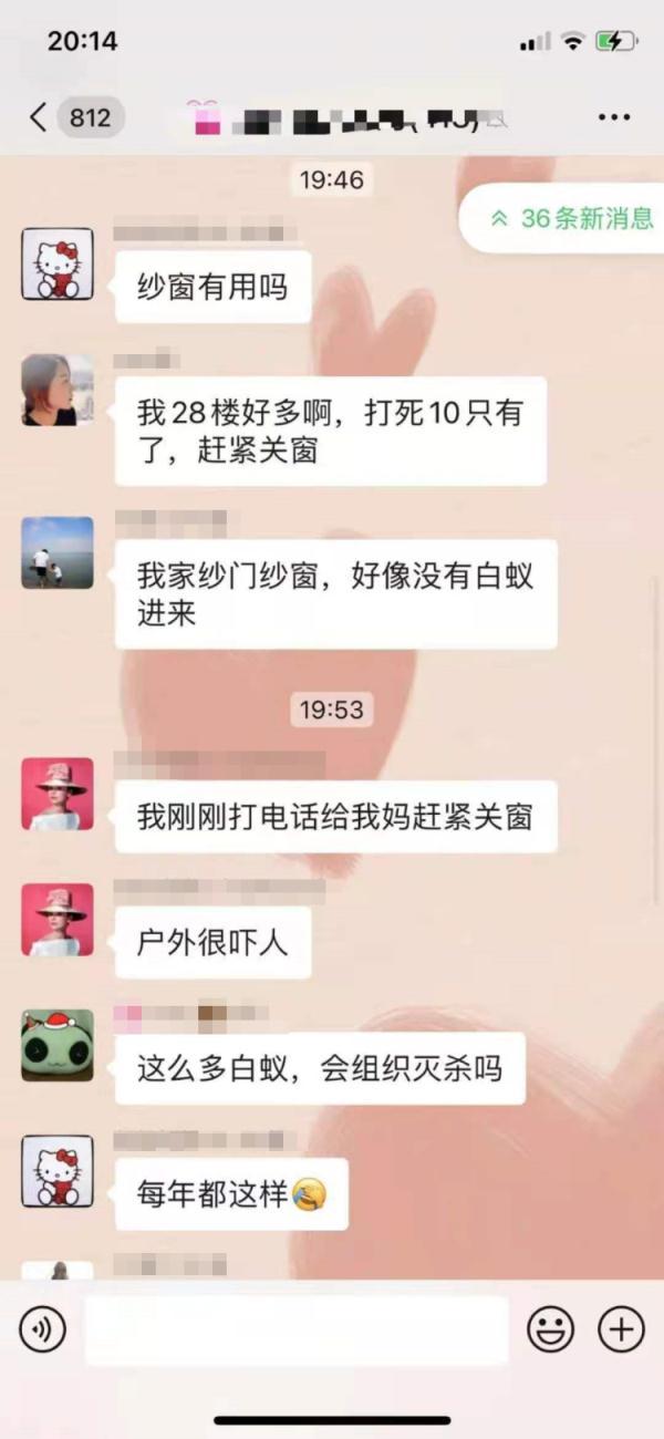 上门灭钱白蚁一般多少钱_上门灭钱白蚁一般要多久_上门灭白蚁一般多少钱