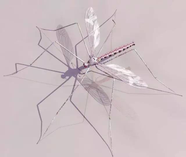 灭蚊子灯_灭蚊子灯的原理_灭蚊子的灯对人身体有害吗