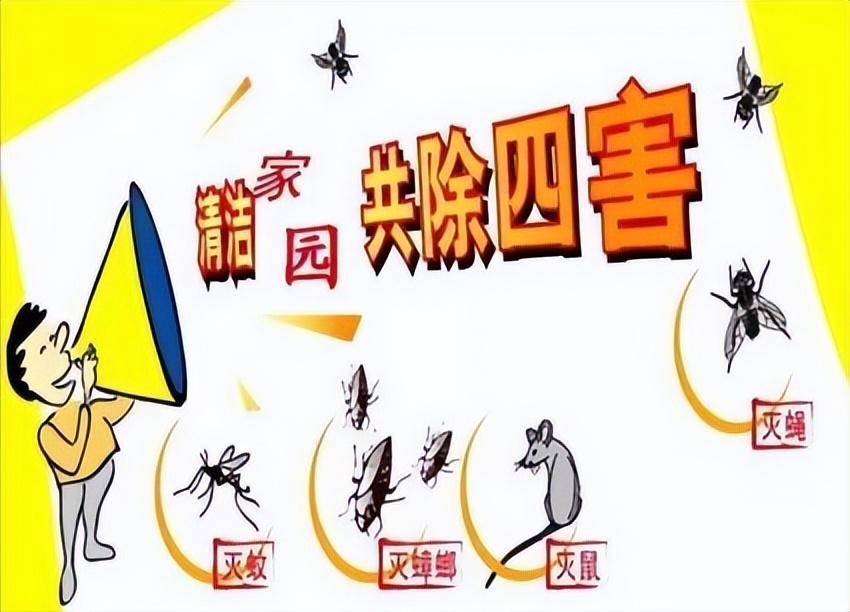 灭白蚁的公司正规吗_正规的灭白蚁公司_灭白蚁