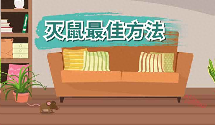 简单家庭灭鼠方法图片_家庭灭鼠最简单方法_家庭灭鼠的方法