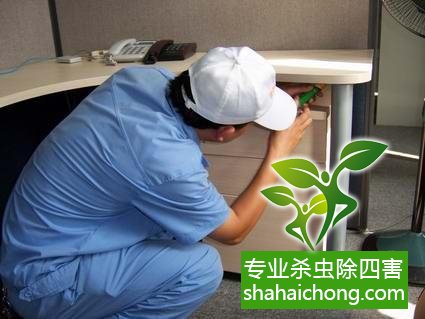 灭蟑螂烟对食品_灭蟑螂烟雾毒性_蟑螂灭烟食品原理