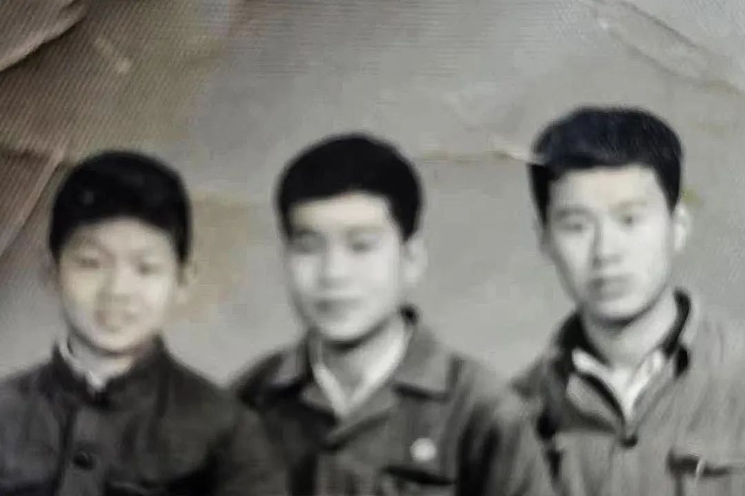 灭臭虫用什么药和什么办法_灭臭虫用什么药_灭臭虫作业报告怎么写
