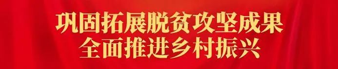 灭老鼠提示_老鼠灭老鼠_老鼠消灭了打一个字