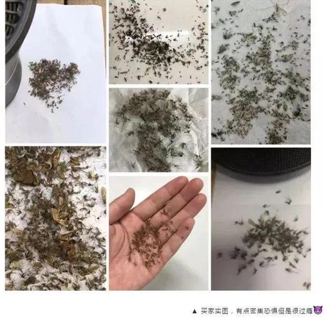 灭蚊神器怎么做_灭蚊子神器_灭蚊神器多少钱一个