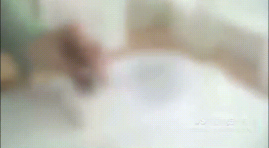 灭蚊子神器_灭蚊神器怎么做_灭蚊神器多少钱一个