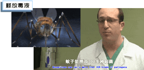 灭蚊神器怎么做_灭蚊神器多少钱一个_灭蚊子神器