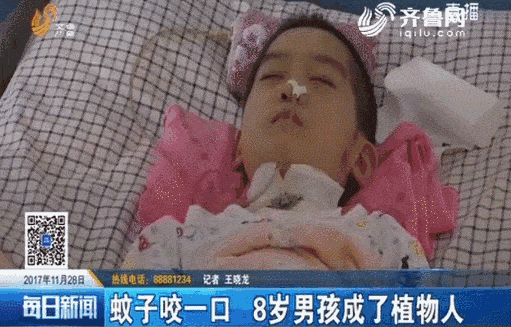 灭蚊神器多少钱一个_灭蚊子神器_灭蚊神器怎么做