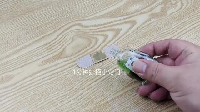 灭蚊子最有效的方法_灭蚊子妙方_灭蚊子的一百种方法