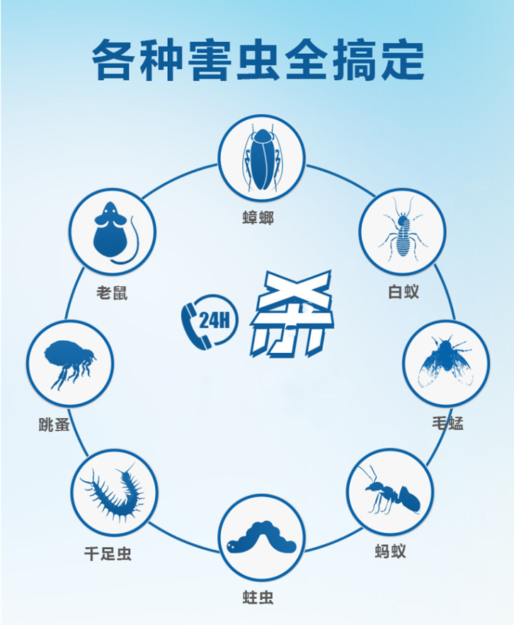 灭老鼠妙招