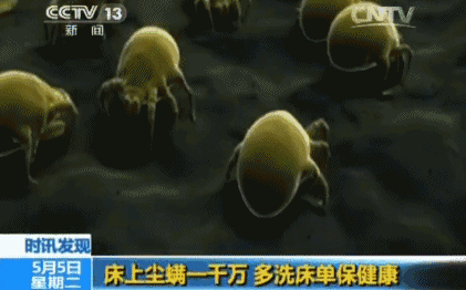 灭臭虫药纸哪里有卖_杀虫剂臭虫_灭臭虫药纸