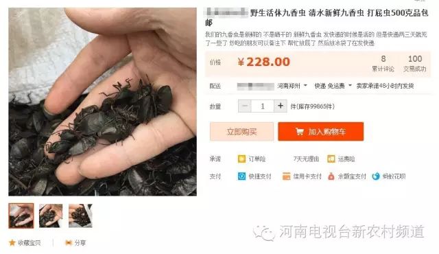 臭臭虫的功效是什么_臭臭虫_臭虫