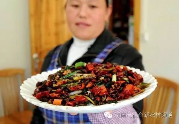 臭臭虫的功效是什么_臭虫_臭臭虫