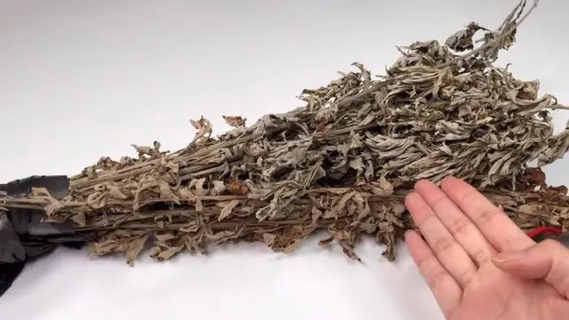 灭蚊子有几种方法_灭蚊子最有效的方法_生活小妙招灭蚊子配方