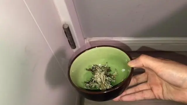 生活小妙招灭蚊子配方_灭蚊子最有效的方法_灭蚊子有几种方法