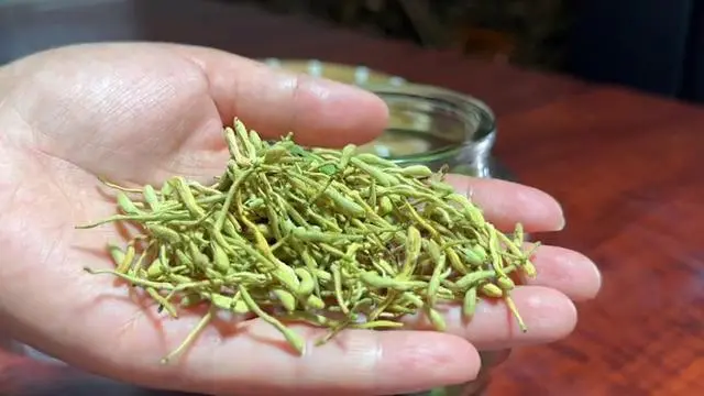 灭蚊子有几种方法_灭蚊子最有效的方法_生活小妙招灭蚊子配方