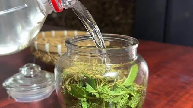 生活小妙招灭蚊子配方_灭蚊子有几种方法_灭蚊子最有效的方法