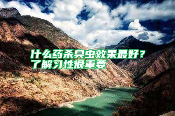 什么药杀臭虫效果最好？了解习性很重要