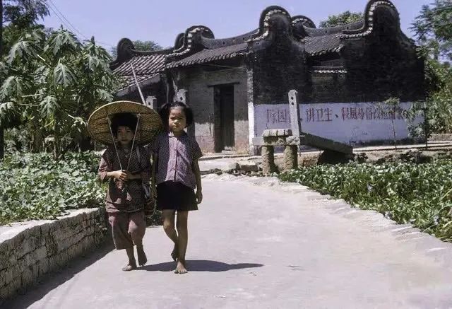灭臭虫方案_灭臭虫用什么药和什么办法_灭臭虫效果最好的药