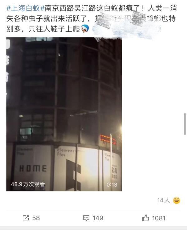 上门灭白蚂蚁_上门灭白蚁价格表_专业上门杀白蚁
