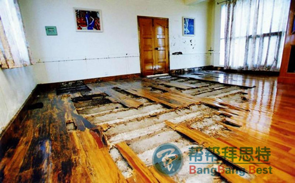 灭白蚁上门公司_上门灭白蚁公司怎么样_上门灭白蚁收费标准