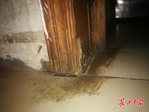 灭药卖白蚁有效果吗_灭白蚁药哪里有卖_买灭白蚁药