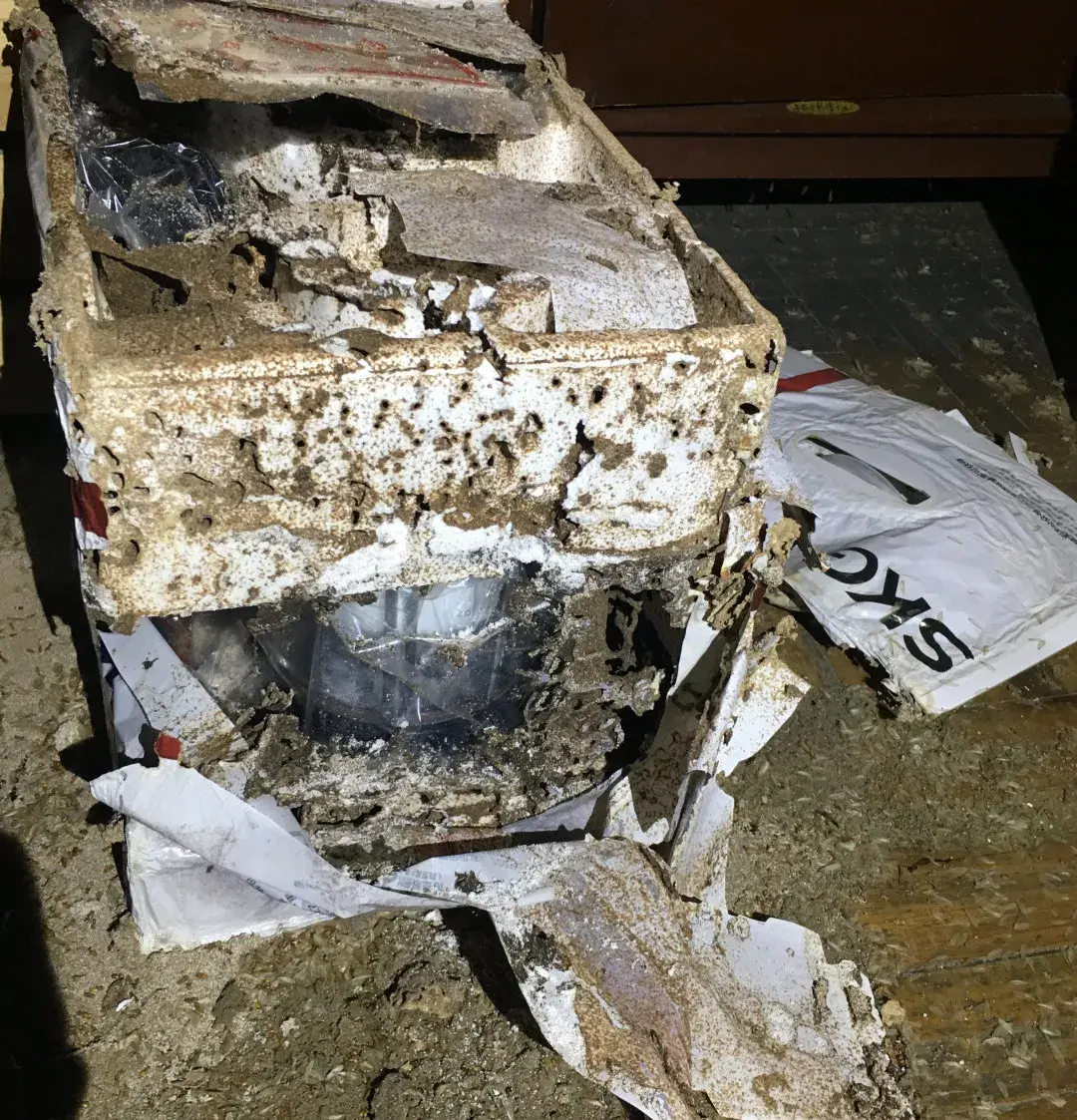 买灭白蚁药_灭白蚁药有毒不_灭白蚁药哪里有卖