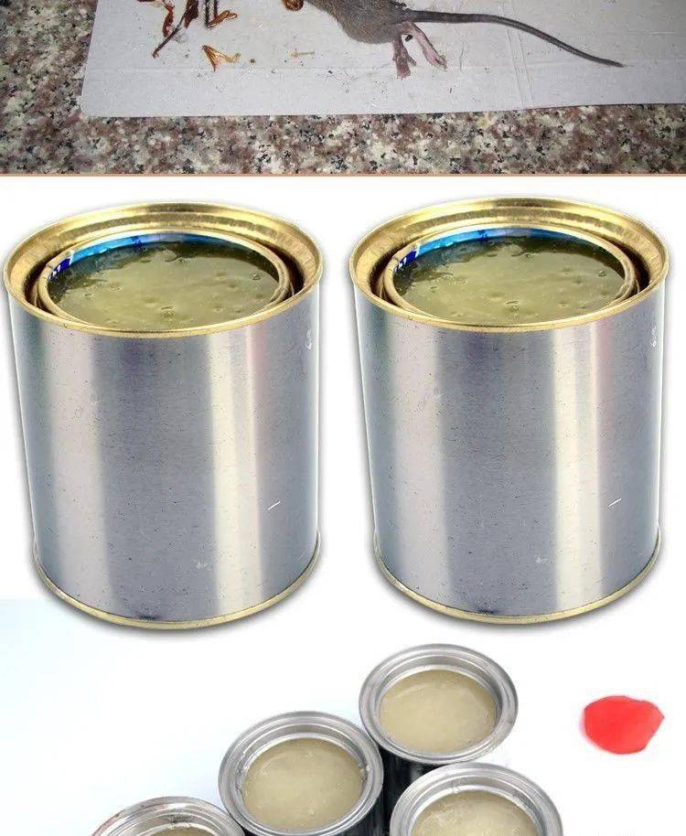 有效灭鼠神器_有效灭鼠药_怎样灭鼠最快最有效