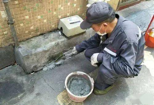 有效灭鼠药_有效灭鼠神器_怎样灭鼠最快最有效