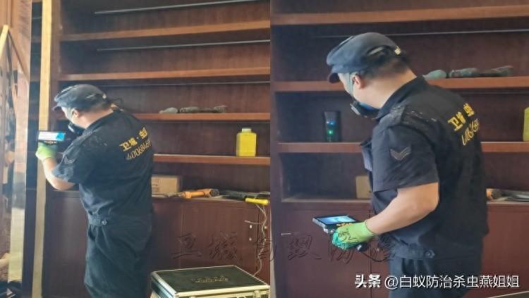 买灭白蚁药_灭药卖白蚁有什么用_灭白蚁药哪里有卖