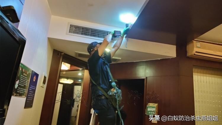 灭白蚁药哪里有卖_买灭白蚁药_灭药卖白蚁有什么用