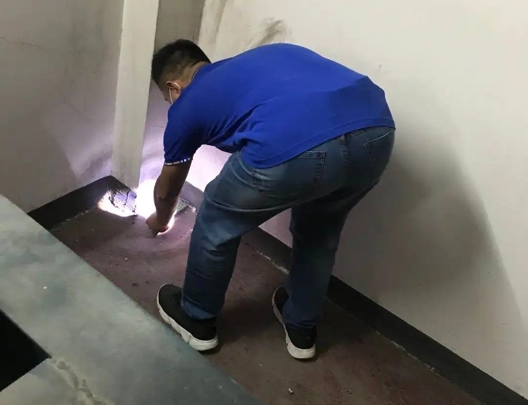 有效灭鼠神器_有效灭鼠药_怎样灭鼠最快最有效