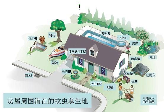 灭白蚁药的主要成分_白蚁药灭白蚁的原理_灭白蚁药