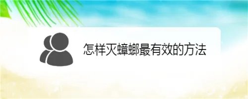 怎样灭蟑螂最有效的方法