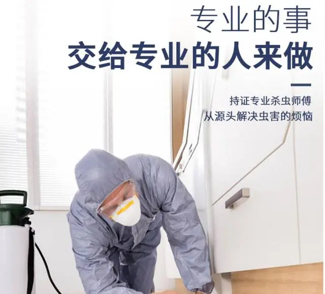 老鼠消灭了打一个字_老鼠灭老鼠_灭老鼠提示