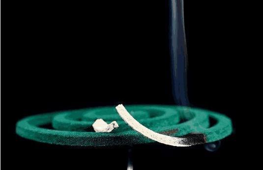 6种效果好的消灭蚊虫办法，轻松把家里苍蝇、蚊子赶尽杀绝！