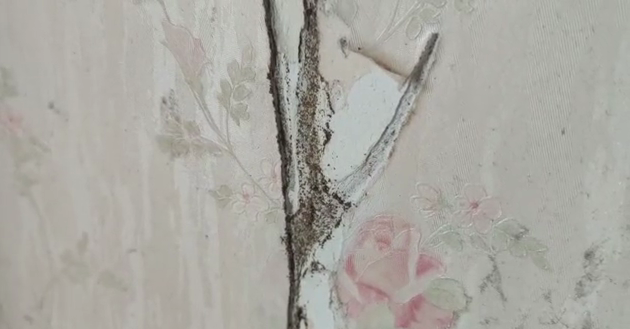 化肥防结块剂配方大全防结块剂_杀虫剂_杀虫气雾剂剂家用