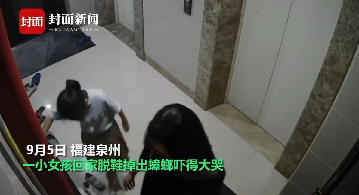 灭蟑螂药有毒吗_蟑螂灭虫药_灭蟑螂的药有哪些