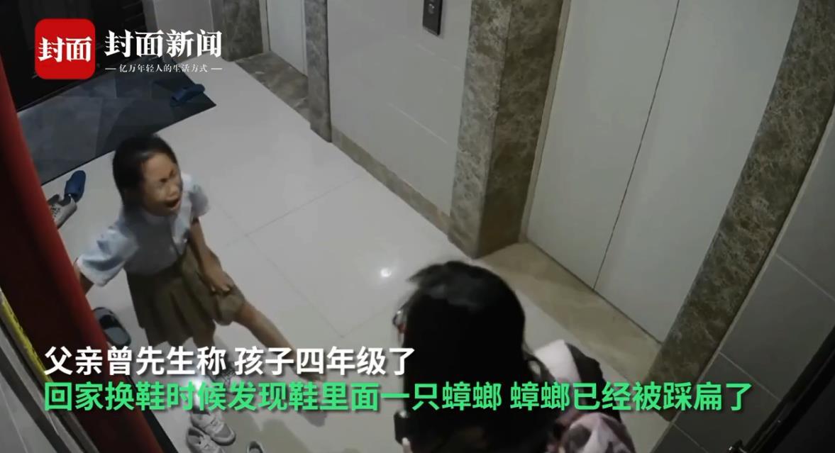 蟑螂灭虫药_灭蟑螂的药有哪些_灭蟑螂药有毒吗