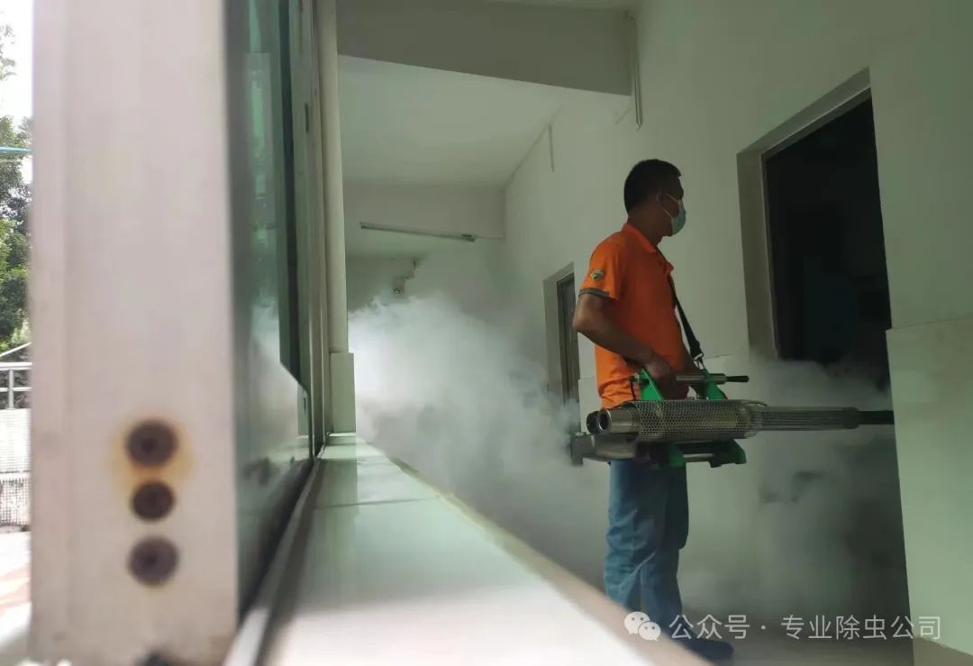 灭臭虫有效方法有哪些_灭臭虫用什么药和什么办法_灭臭虫最有效的方法