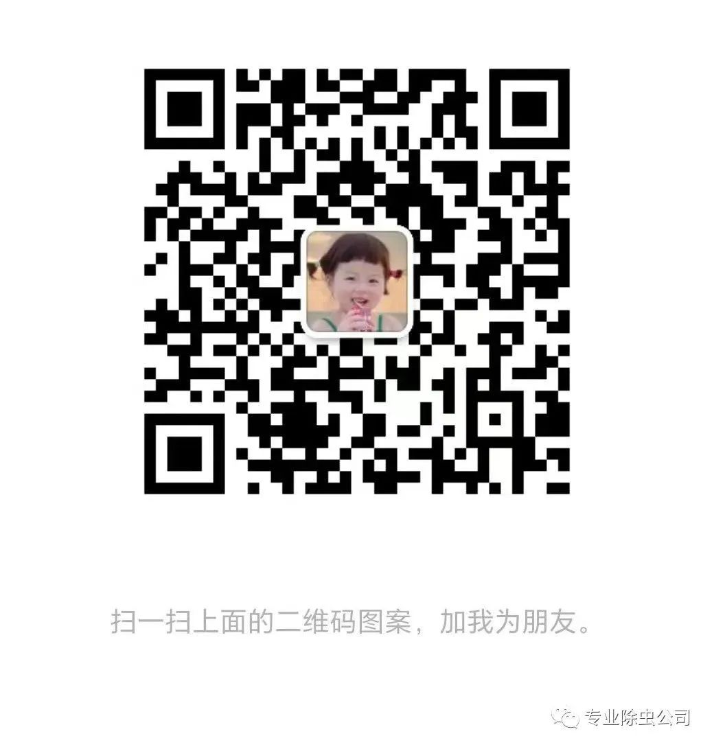 灭臭虫用什么药和什么办法_灭臭虫最有效的方法_灭臭虫有效方法有哪些