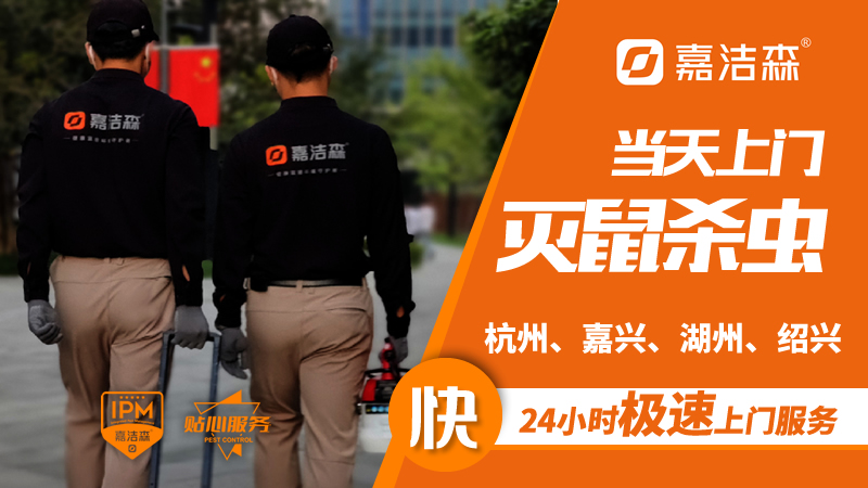 东莞灭老鼠公司_杭州灭老鼠_如何灭老鼠
