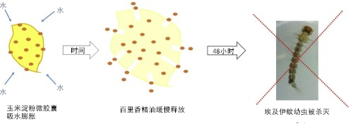 怎么灭蚊子_怎么灭蚊子_怎么灭蚊子