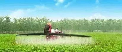 灭杀蟑螂药_灭蟑螂特效药排行榜_灭蟑螂的特效药